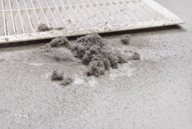Best Air Duct Cleaning Near Me  in East Flat Rock, NC