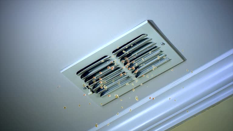 Best Ventilation Cleaning Services  in East Flat Rock, NC