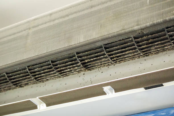 Best Affordable Duct Cleaning Services  in East Flat Rock, NC
