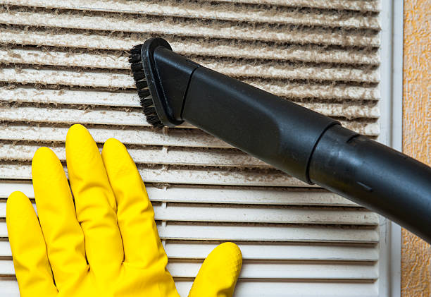 Best Home Air Vent Cleaning  in East Flat Rock, NC